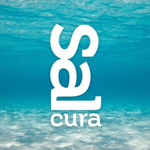 Salcura